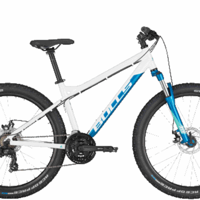 Nandi 26 2
