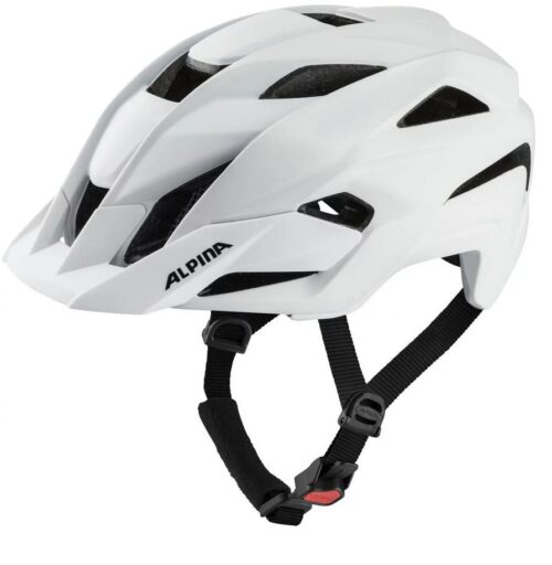 Alpina Kamloop – Bild 10