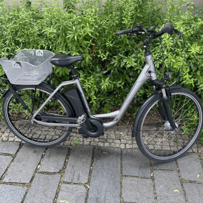Kalkhoff_Allround