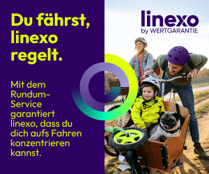 lxo_Banner_TDB_300x250